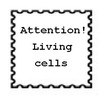 Living cells attention.jpg