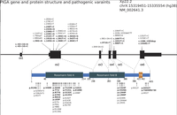 PIGA Mutation Landscape