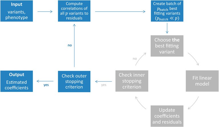 snpboost_algorithm.jpg